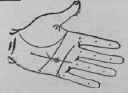 The Line Of The Sun VII Signs 917