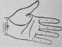 VI Signs 442