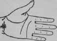 VI Signs 444