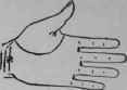 VI Signs 445