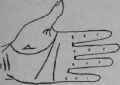 VII Lines And Signs On The Mount Of Venus 214