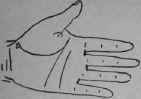 VIII Bars Capillaries And Signs 302