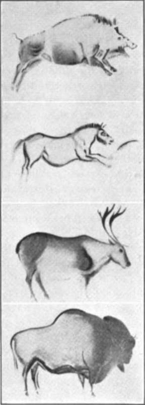 Cave Man Drawings