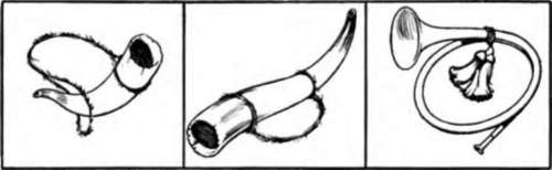 Primitive Man No Doubt Made The First Horn