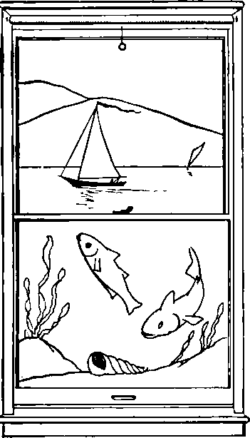 Some Ideas On Window Decorations