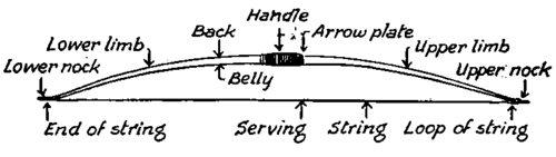 The Arrow