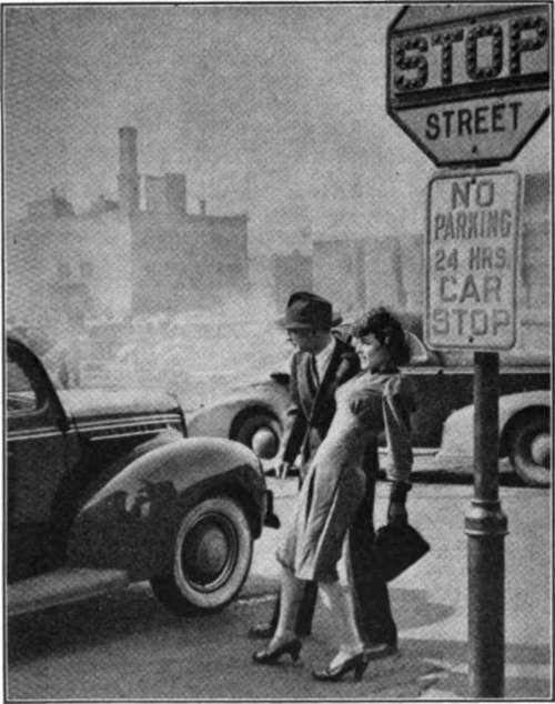There Is A Good Reason For Every Traffic Rule