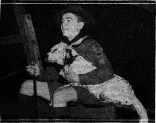 A Lone Scout