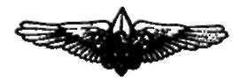 Air Scout