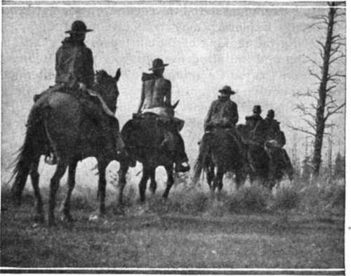 Scouting is a virile masculine program