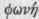 Pleurisy Pleuritis 1300588