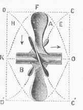 Tug boat Screw.