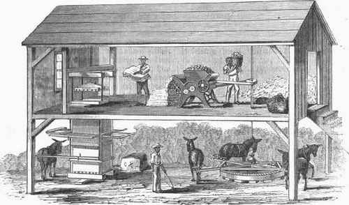 The Gin House.