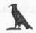 Language And Literature Of Egypt 0600244