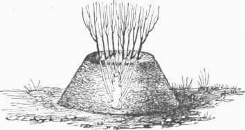 Mound Layering.