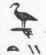 Teti, Thoth, Mercury.
