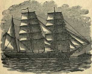Barque Or Bark 17