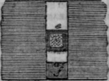 Bee Hives 12