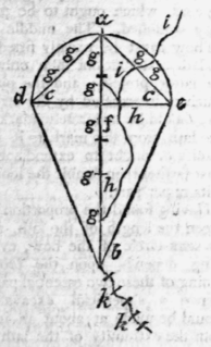 Kite 7