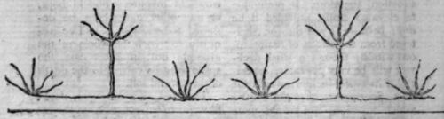 Method of Planting