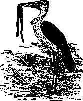 Description images/pp0014 1