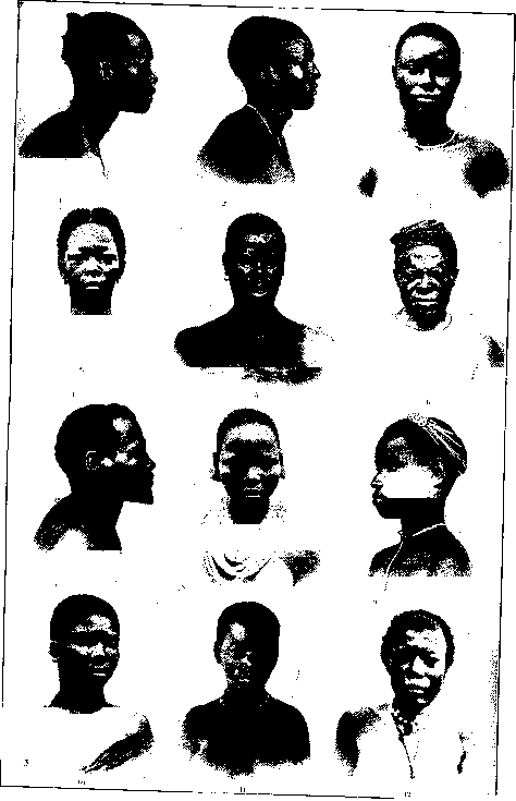 Description images/pp0029 1