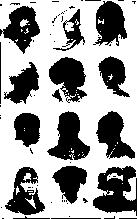 Description images/pp0030 1
