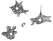 Description images/pp0085 2