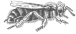 Description images/pp0221 1