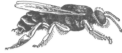 Description images/pp0221 3