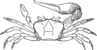 Description images/pp0514 1