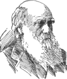 Description images/pp0547 1
