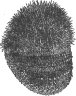 Description images/pp0023 2
