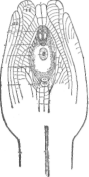Description images/pp0059 2