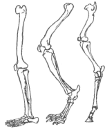 Description images/pp0143 1