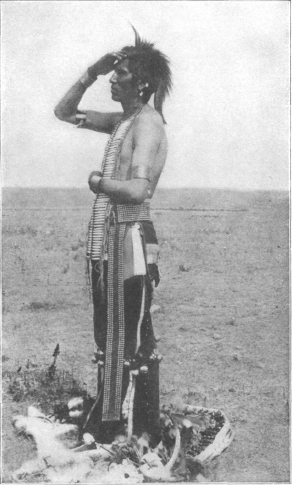 Description images/pp0392 1