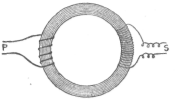 Description images/pp0393 2
