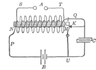 Description images/pp0393 3