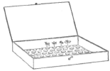 Description images/pp0398 2