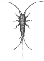 Description images/pp0400 1