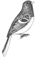 Description images/pp0452 1
