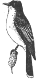 Description images/pp0474 1