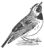 Description images/pp0501 1
