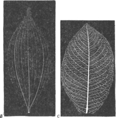 Description images/pp0512 2