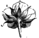 Description images/pp0030 1