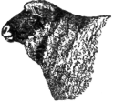 Description images/pp0040 1
