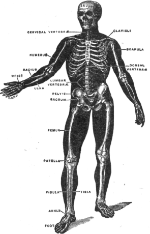 Description images/pp0069 1