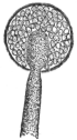 Description images/pp0111 2
