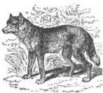 Description images/pp0421 1