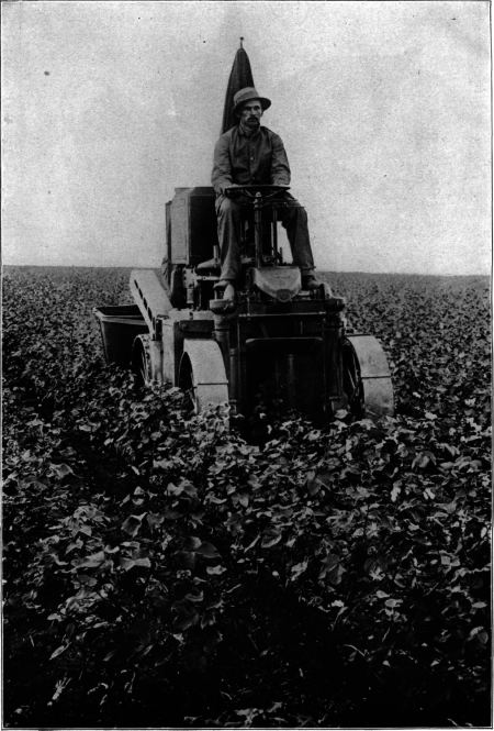 A Cotton-Picking
Machine